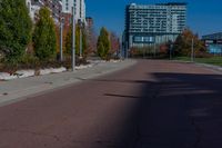 a long paved road in between buildings with trees on both sides of the road and a green field on the opposite side