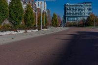 a long paved road in between buildings with trees on both sides of the road and a green field on the opposite side