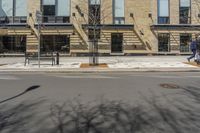 a building with windows and trees on a street in front of it with snow and no leaves