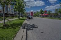 Ontario Urban Streetscape: A Tree-Lined Road