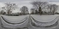 three trees and snow covered sheets in the foreground on a winter day near an outdoor park