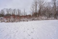 the snow covered ground in the middle of the park with trees and bushes near it