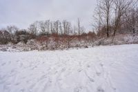 the snow covered ground in the middle of the park with trees and bushes near it