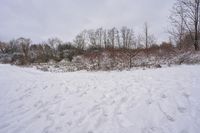 the snow covered ground in the middle of the park with trees and bushes near it