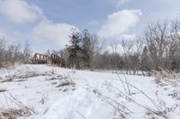 Ontario Winter Landscape with Bridge and Trees