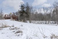 Ontario Winter Landscape with Bridge and Trees