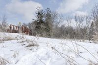 Ontario Winter Landscape with Bridge and Trees