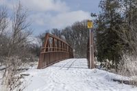 Ontario Winter Landscape: Path through Residential Area