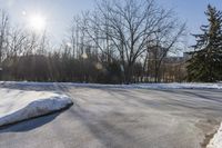 Ontario Winter: Road with Snow-Covered Trees