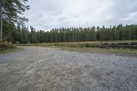 Ontario's Wooded Area: A Gloomy Grey Sky