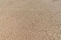 closeup view of cracks in a dry field with no vegetation around it, from below