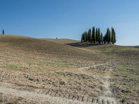 Open Grass Field in Tuscany, Italy