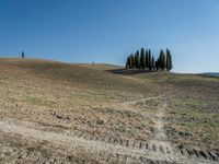 Open Grass Field in Tuscany, Italy