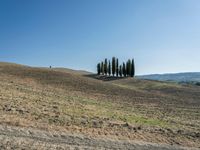 Open Grass Field in Tuscany, Italy