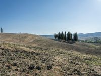 Open Grass Field in Tuscany, Italy