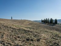 Open Grass Field in Tuscany, Italy