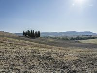 Open Grass Field in Tuscany, Italy