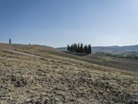 Open Grass Field in Tuscany, Italy