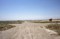 an open gravel road with a sign next to it and some grass in the field