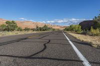 a very long open road lined with trees and shrubs with a mountain in the background