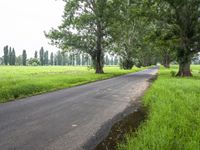 an open road lined with trees and grass next to a field with green grass and water