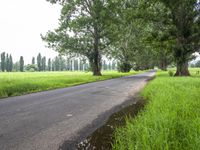 an open road lined with trees and grass next to a field with green grass and water