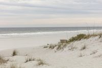 a beach with grass, sand and water, and a bench in the dunes next to the ocean