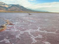 a lake in the middle of an arid plain, filled with muddy water with mountains in the background