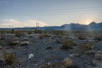 Open Space at Dawn: Clear Sky on the Horizon