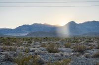 Open Space at Dawn: Clear Sky on the Horizon