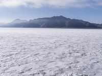 Open Space, Day and Winter: Embrace the Serenity of the Horizon