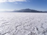 Open Space, Day and Winter: Embrace the Serenity of the Horizon