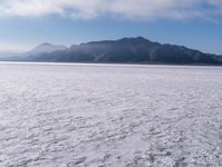 Open Space, Day and Winter: Embrace the Serenity of the Horizon