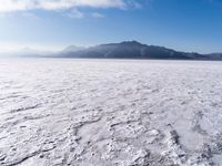Open Space, Day and Winter: Embrace the Serenity of the Horizon