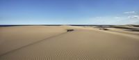 a wide open desert field with a blue sky in the background in the foreground are sand dunes