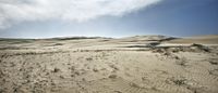 a view of sand dunes with small plants and shrubs against a blue sky with clouds