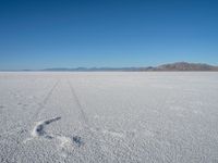 Open Space Desert Salt Surface