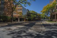 a street view, with trees along a curb in the foreground and brick buildings on both sides of the road