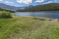 Open Space: Exploring the Highland Grass Surface