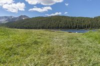 Open Space: Exploring the Highland Grass Surface