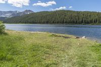 Open Space: Exploring the Highland Grass Surface