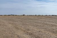 a brown grass field with trees on the far side and desert and hills in the distance