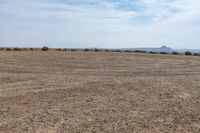 a brown grass field with trees on the far side and desert and hills in the distance