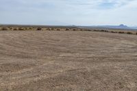 a brown grass field with trees on the far side and desert and hills in the distance