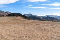 Open Space: A View of the Horizon with a Grass Slope