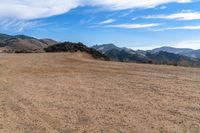 Open Space: A View of the Horizon with a Grass Slope