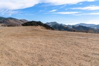 Open Space: A View of the Horizon with a Grass Slope