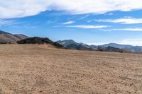 Open Space: A View of the Horizon with a Grass Slope