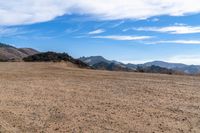 Open Space: A View of the Horizon with a Grass Slope