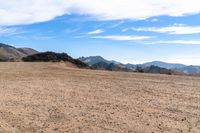 Open Space: A View of the Horizon with a Grass Slope